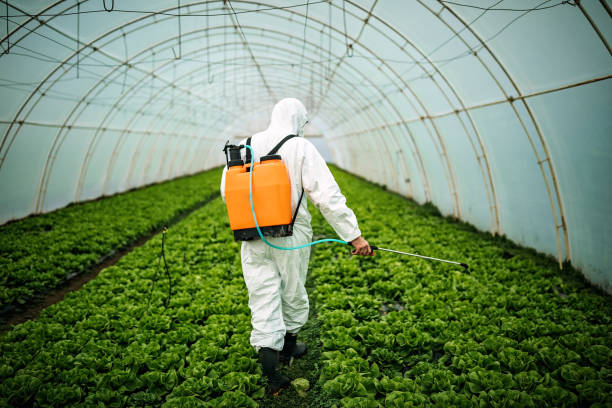 Best Commercial Pest Control Services  in Orida City, FL