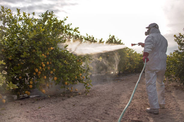 Best Residential Pest Control  in Orida City, FL