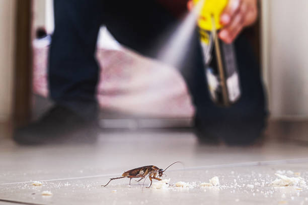 Best Pest Removal Services  in Orida City, FL